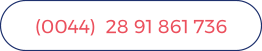 (0044)  28 91 861 736