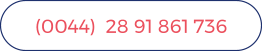 (0044)  28 91 861 736